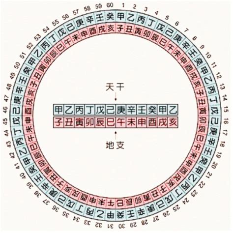 1995年天干地支|干支对照表